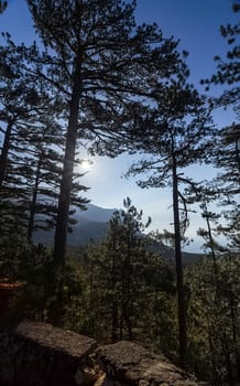 Mountains and forests of Crimea. coniferous and deciduous trees on the hills of the mountains and rocks