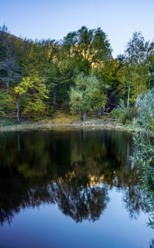 A lake in the woods. Trees are reflected in the water.