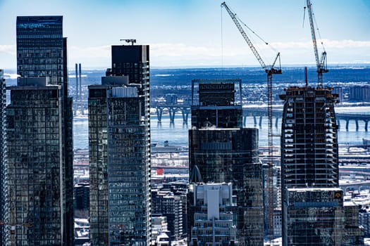 Harmony between city and nature. Shooting Location: montreal, canada