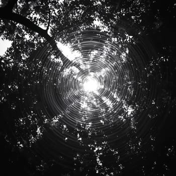 Black and white image showcasing a mesmerizing spiral light effect through a dense tree canopy, creating a surreal and artistic atmosphere.