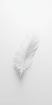 A white feather is on a white background. The feather is very thin and has a lot of detail