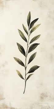 A detailed botanical illustration of an olive branch, showcasing green leaves on a vintage textured background.