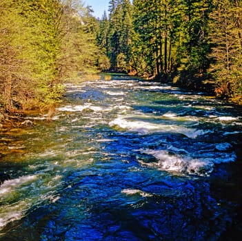 Mountain Creek, California