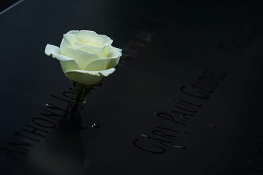 reflective memorial flowers. Shooting Location: new york, manhattan