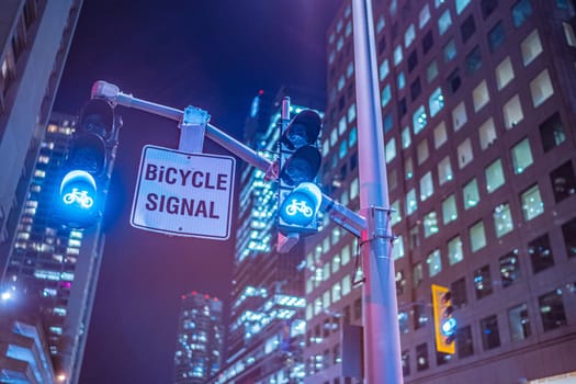 Night view of bicycle signal. Shooting Location: Toronto