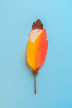 Nation indigenous peoples day concept, Colorful feather on minimslist color background, AI generated