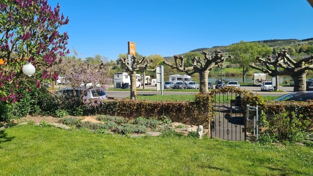 ÜRZIG, GERMANY - APRIL 18.2022: Ürzig, Germany-Apri 18.2022: Urzig village on the Moselle between Moselle and vineyards in Rhineland-Palatinate Germany in an ostrich inn