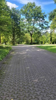 A stone path winding through a lush green park on a sunny day.