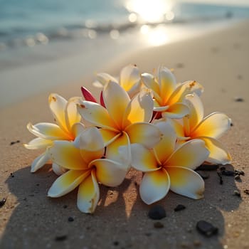 A serene beach scene featuring a cluster of frangipani flowers resting on the sand, their petals glowing under warm sunlight.