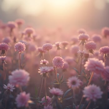 A field of delicate blooming flowers glows softly in pastel hues, bathed in the warm, gentle light of morning.