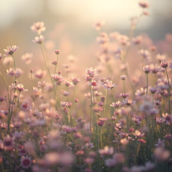A field of delicate blooming flowers glows softly in pastel hues, bathed in the warm, gentle light of morning.