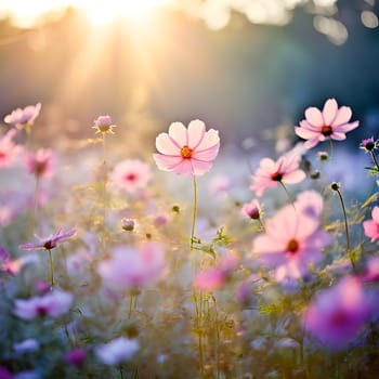 A field of delicate blooming flowers glows softly in pastel hues, bathed in the warm, gentle light of morning.