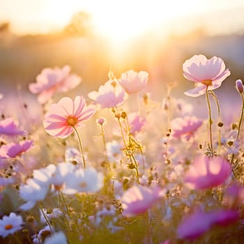A field of delicate blooming flowers glows softly in pastel hues, bathed in the warm, gentle light of morning.