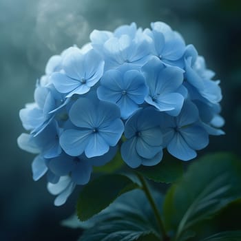 A delicate blue hydrangea bloom gently enveloped by a softly glowing mist, creating an ethereal, serene atmosphere.