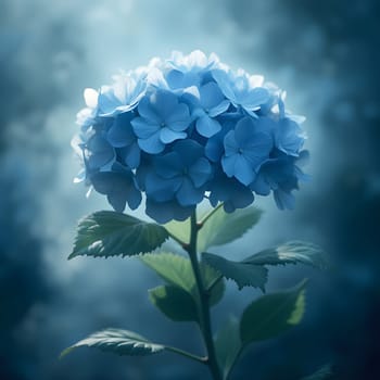 A delicate blue hydrangea bloom gently enveloped by a softly glowing mist, creating an ethereal, serene atmosphere.