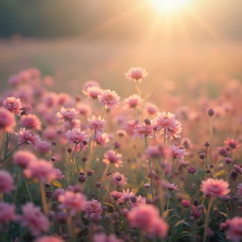 A field of delicate blooming flowers glows softly in pastel hues, bathed in the warm, gentle light of morning.