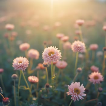 A field of delicate blooming flowers glows softly in pastel hues, bathed in the warm, gentle light of morning.