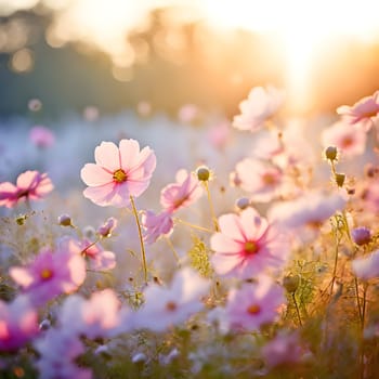 A field of delicate blooming flowers glows softly in pastel hues, bathed in the warm, gentle light of morning.