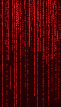 abstract animation of binary code cascading down like digital rain, representing data insights in monochromatic hues