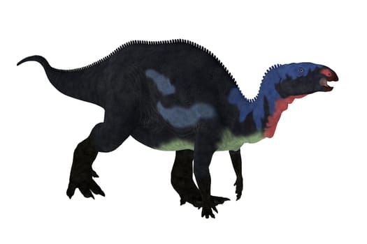 Camptosaurus is a genus of herbivorous dinosaurs from the Late Jurassic Period of western North America.