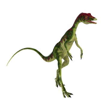 Compsognathus was a small carnivorous theropod dinosaur that lived during the Jurassic Period of Europe.