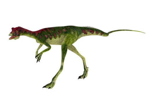 Compsognathus was a small carnivorous theropod dinosaur that lived during the Jurassic Period of Europe.