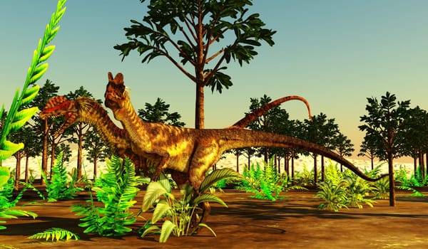 Dilophosaurus carnivorous dinosaurs search for prey among a forest of Cordaites angulostriatus trees.