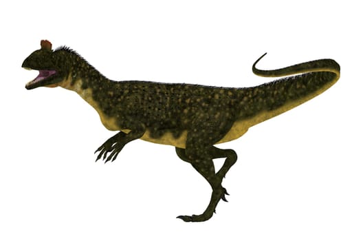Cryolophosaurus was a large theropod carnivorous dinosaur that lived in Antarctica during the Jurassic Period.