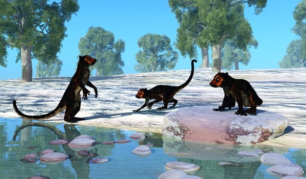 Darwinius was a lemur-like primate that lived in Germany during the Eocene Period.