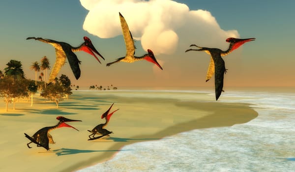 Pterodactylus was a carnivorous predatory bird that lived in Bavaria, Germany during the Jurassic Period. A flock flies out to sea to search for fish to eat.