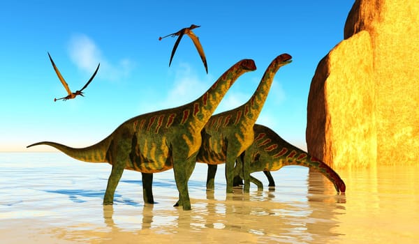 Rhamphorhynchus Pterosaur fly over a jobaria herd drinking water during the Jurassic Era.