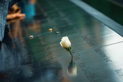 White Rose of Remembrance (Ground Zero). Shooting Location: new york, manhattan