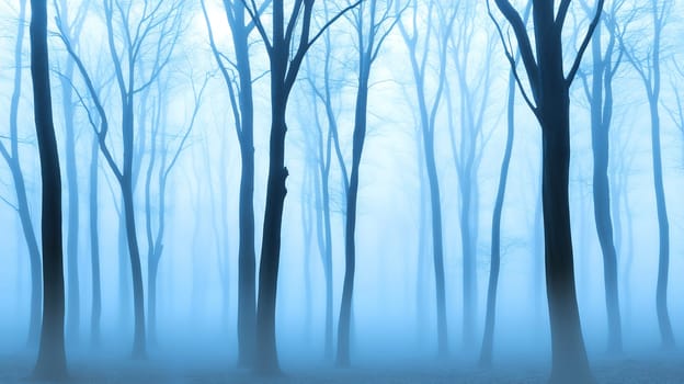A serene and mystical forest shrouded in fog, creating an enchanting and mysterious atmosphere.