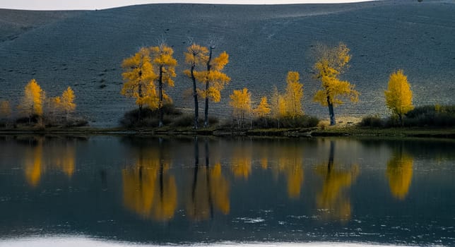 Lake in the Altai Mountains. Panorama of the Altai landscape in the mountains. The time of year is autumn.