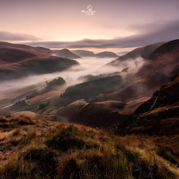 Awakening the Highlands: Misty Morning Landscapes