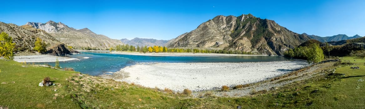 Panorama is the Altai, a mountain river flowing between the Altai mountains and the nature of the area.