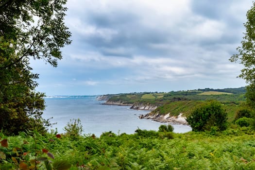 A beautiful view of the ocean with a cloudy sky in the background. The trees are lush and green, and the water is calm. The scene is peaceful and serene, and it's a great place to relax