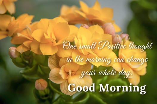 Inspirational and motivation quote, One small positive thought in the morning can change your whole life.