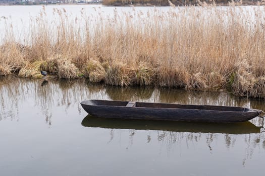 A traditional wooden dugout canoe floating on a calm lake, surrounded by tall reeds and natural scenery.