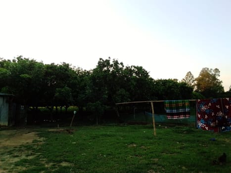 Village Beautiful Scenery - Paddy Field, Village Jungle Flowers, Village Evening, Fruit Tree Garden, Village Sunset, Village River