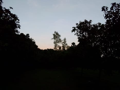 Village Beautiful Scenery - Paddy Field, Village Jungle Flowers, Village Evening, Fruit Tree Garden, Village Sunset, Village River