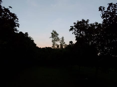 Village Beautiful Scenery - Paddy Field, Village Jungle Flowers, Village Evening, Fruit Tree Garden, Village Sunset, Village River