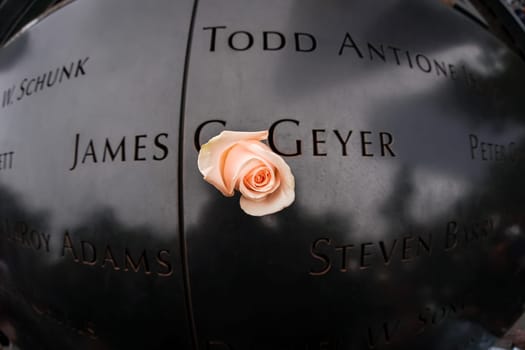 Mourning rose and reflection. Shooting Location: new york, manhattan
