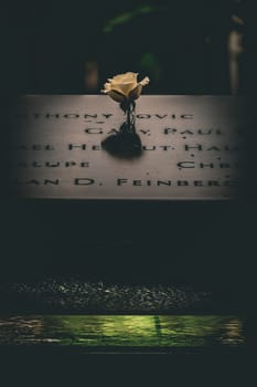 dim flower offering. Shooting Location: new york, manhattan