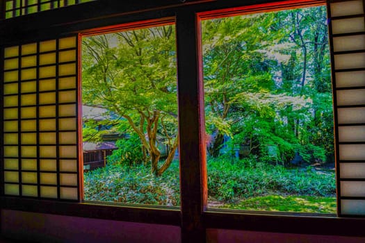 View from the window with a view of greenery. Shooting Location: Niigata Prefecture