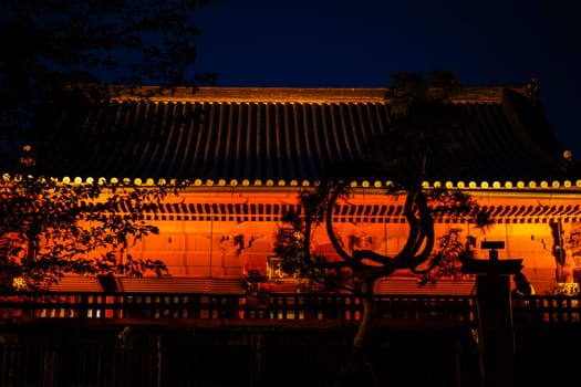 Night view of traditional architecture. Shooting Location: Taito Ward, Tokyo