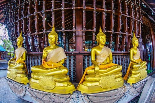 row of golden buddha statues. Shooting Location: Thailand, Bangkok