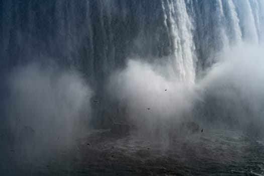 birds dancing under the waterfall. Shooting Location: Toronto