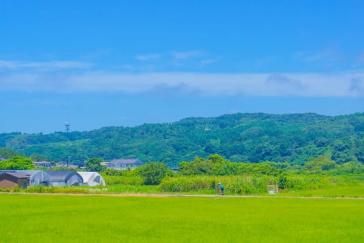 Cyclist and countryside. Shooting Location: Yamagata Prefecture