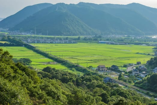 A village surrounded by greenery. Shooting Location: Akita prefecture